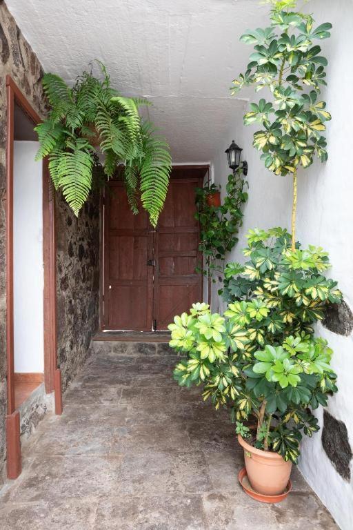 Casa Canaria Acero 加拉奇科 外观 照片