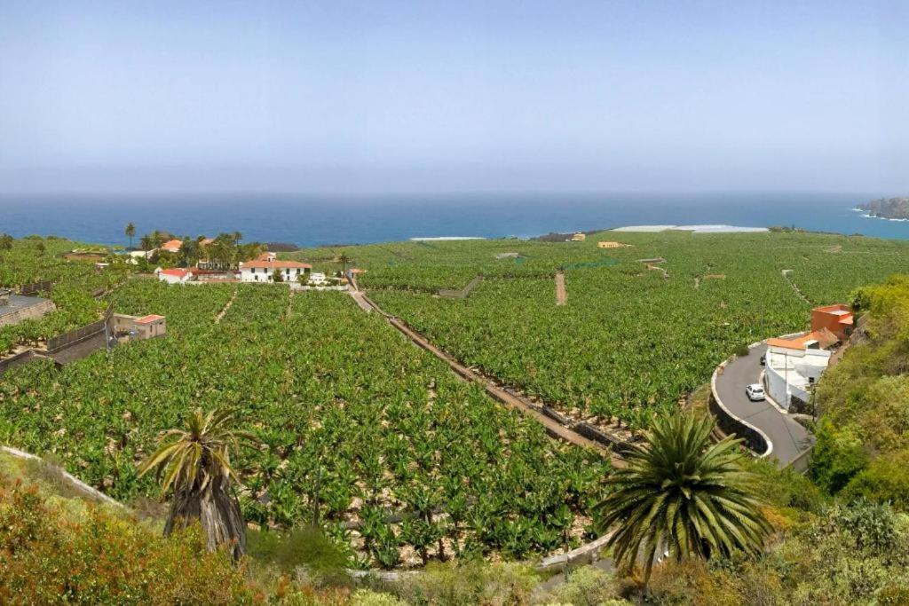 Casa Canaria Acero 加拉奇科 外观 照片
